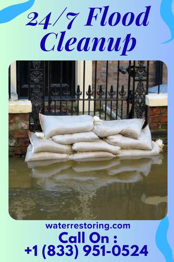 24/7 Flood Cleanup in Bentonia, MS